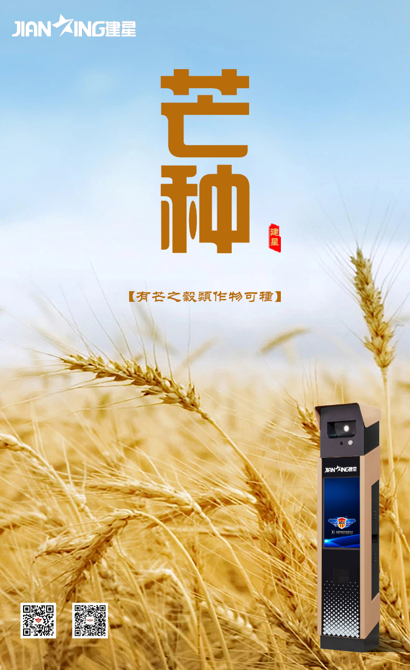 芒种6.6